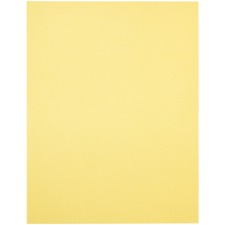 Domtar DMR81067 Colored Paper